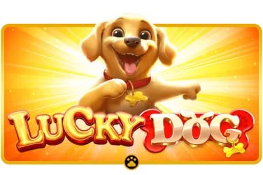 pam4d koleksi slot dan live casino online terlengkap